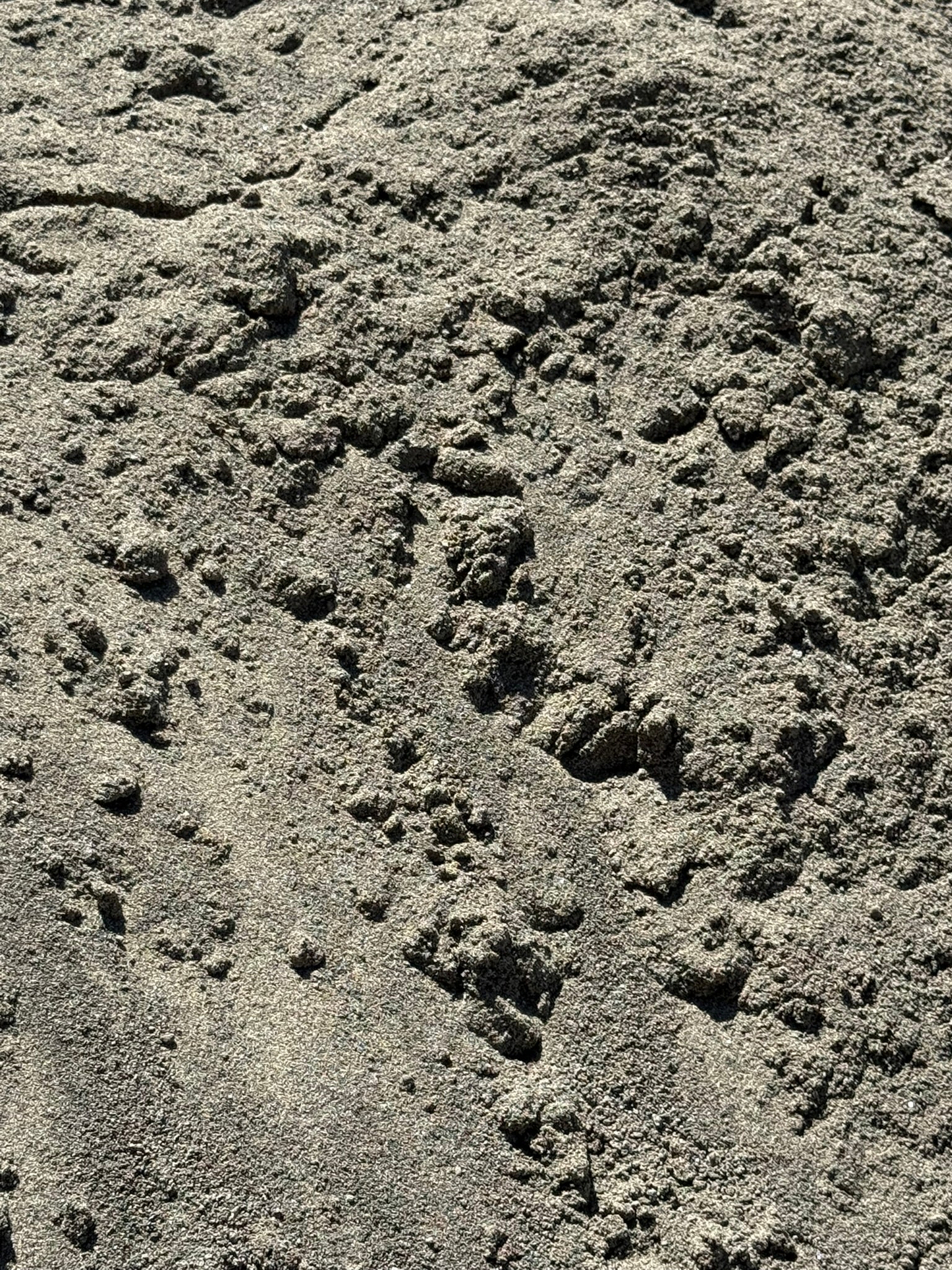 Mason Sand